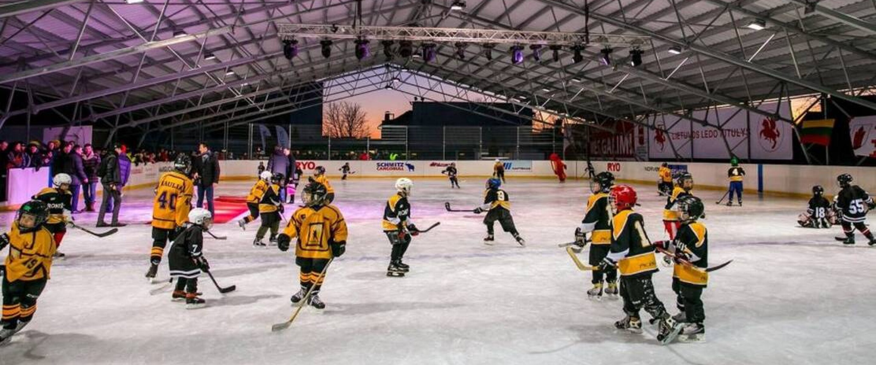 Panevėžio ledo arena